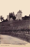 Les Ruines du Vieux Château de la Barre et le Nouveau Château