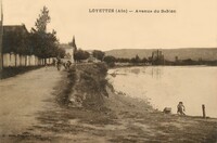 Avenue du Sablon - Lavandière