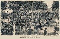 Le Marché aux Chevaux