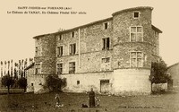 Saint-Didier-de-Formans - Le Château de Tanay 