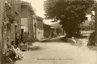 Saint-Martin-du-Mont - Allée de Tilleuls