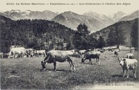 Les Colmianes et Chaîne des Alpes