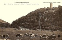 Thueyts - Vallée de l'Ardèche , le Château du Comte de Blou