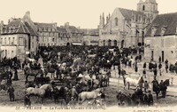 La Foire aux Chevaux à la Guibray