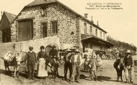 Transport du Lait à la Fromagerie