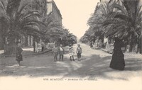Avenue du 1er Consul