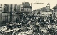 Auxonne - Le Marché des Asperges