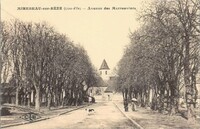 Mirebeau-sur-Bèze - Avenue des Marronniers