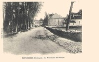 La Promenade des Platanes