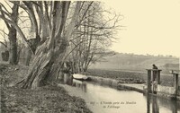 L'Yvette prés du Moulin de l'Abbaye