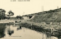 Avenue du Gros Chêne - Lavandières