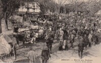 Marché aux Bestiaux