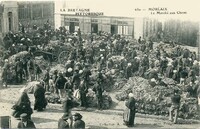 Le marché aux Choux