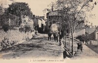 La Cadière-et-Cambo - Avenue de la Dime