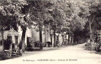 Simorre - Avenue de Saramon