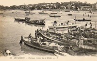 Barques retour de la Pêche