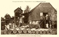 PARTIE D4UNE distillerie, à Sainte Rose