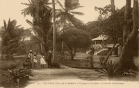 Paysage et Cocotier - Chalet du Gouverneur