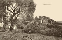 Borgo - vue Générale