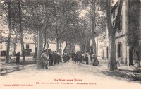 Avenue de Sorèze