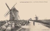 Les Moulins et Moutons aux Pâturage