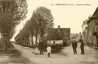 Avenue des Tilleuls