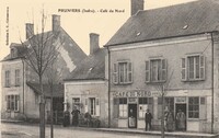 Pruniers - Café du Nord