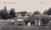 Rentrée des Foins