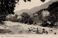 MENTON - Lavandières du Borrégo