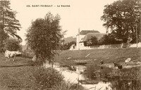 SAINT-THIBAULT  - La Vauvise  - Lavandières