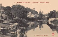 MONTBARD  - Le Chemin de la Prairie et la Brenne - Lavandières