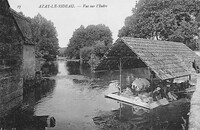 AZAY-le-RIDEAU  - Vue sur L'Indre - Lavandières