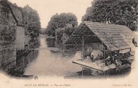 AZAY-le-RIDEAU  - Vue sur L'Indre - Lavandières