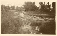 VILLEURBANNE  - Cusset-Le Pont des Planches Lavandières