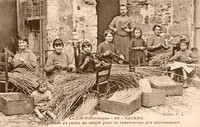 Coupeuses de paille de seigle pour la fabrication des Chalumeaux