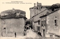 Castelnau Montratier-Sainte Alauzie - Le Château du Barry