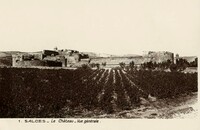 Les Salces - Le Château - Vue Générale