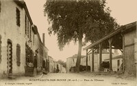 Place de L'Ormeau