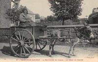 La Marchande de coques -Le retour du Marché