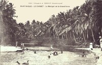 Le Carbet - Le Marigot de la Grande 'Anse