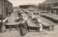 Femmes des Usines mettant leurs sardines à sécher