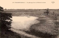 Charrin - Un Pâturage dans la Vallée de la Loire