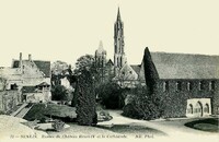 Ruine du Château Henri IV et la Cathédrale