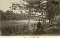 Un Coin de l'Etang