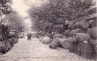 La Halle aux Vins