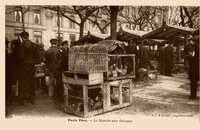 Le Marché aux Oiseaux