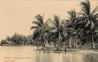 Coin du Rivage à Tevaitos