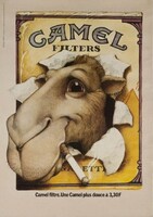 Camel