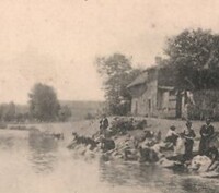 Les Bords de L'Alher -Lavandières