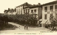 Avenue des Platanes